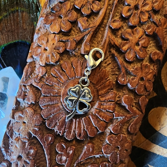 5/$25 Irish Shamrock Heart Charm for Bracelet St Patrick's Day Clover Bag Clip - Picture 4 of 13
